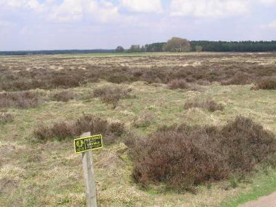 Veluwe nat. park