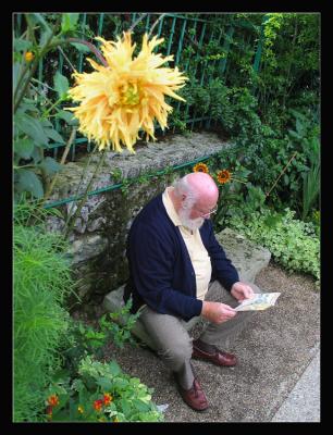 Giverny<br>Eclairage naturel