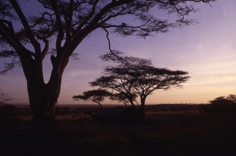 East Africa 2001