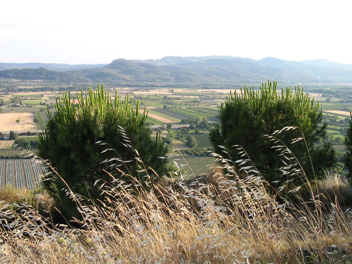 Across the Valley