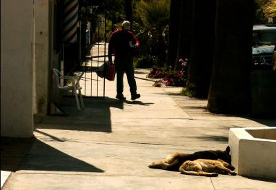 Sidewalk Siesta, Tecate, Mexico, 2004