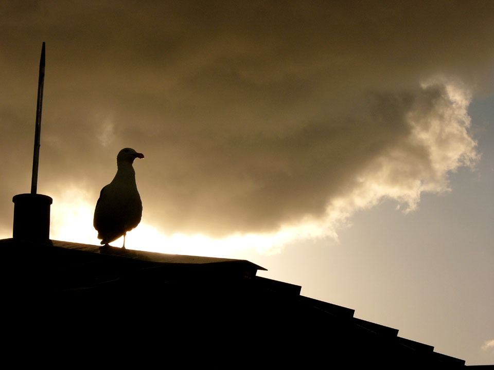 Storms End, Point Loma Harbor, San Diego, California, 2004