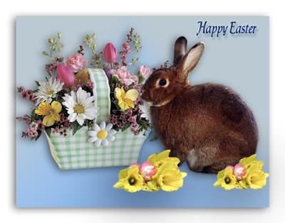 Hoppy Easter from the Barnetts!