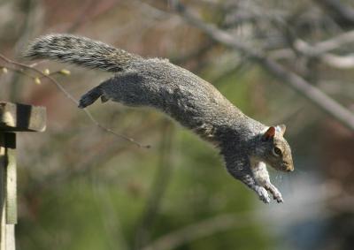 Wheeee!