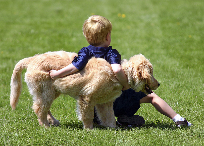 A Boy and His Dog