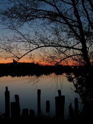 Near the Ferry Terminal - Fairhaven