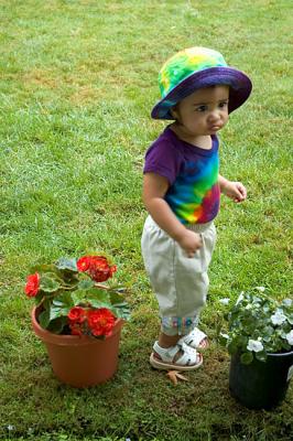 1084_Gracie.jpg
