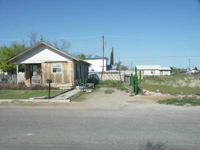 2203 Iron Cacti, Ft. Stockton.JPG