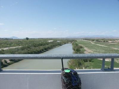 2220 Pack at the Rio Grande.jpg