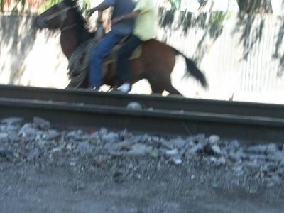 2263 Horse and Rider.jpg