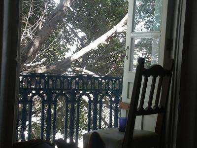 2606 Chair, balcony, tree.jpg