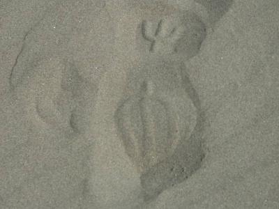 2627 Think these bootprints are Mexican.jpg