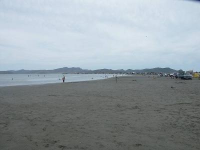 2631 Near southern point of Lay Playa, estuary side.jpg