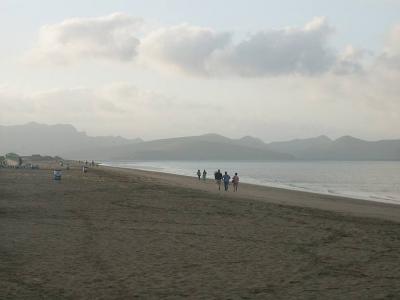 2649 Early risers walking on the beach.jpg