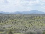 2214 Big Bend Country.jpg