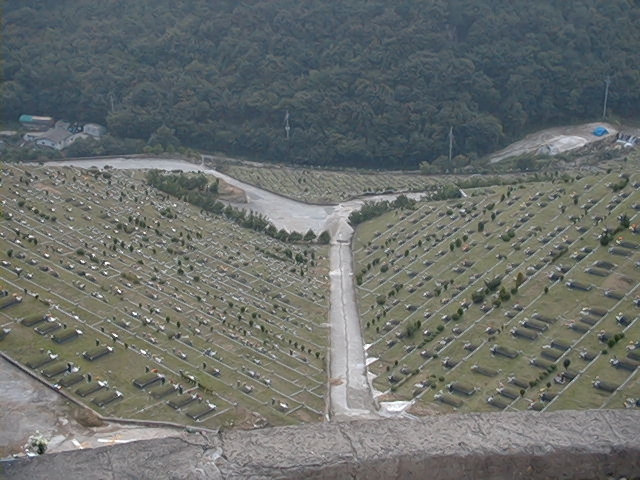 Image06.jpg