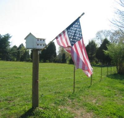 birdhouse and flag on fence post