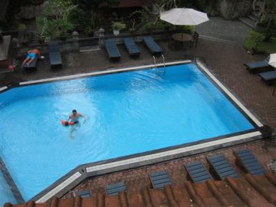 Ubud, Artini 2 Pool (looking down from my verhanda)