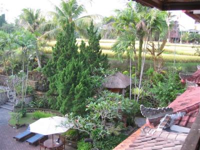 Ubud, Artini 2, looking from my room at rice fields