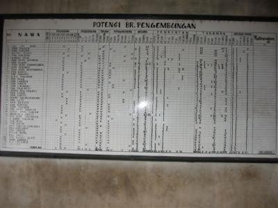 census of the local village