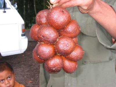 Salaks (snake fruit) for sale at a lookout