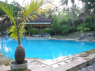 back to Lovina, Hotel Angsoka pool