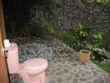 my outside toilet