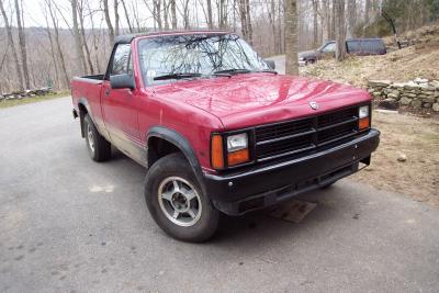 New Bumper