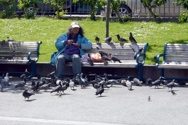 Birdlover