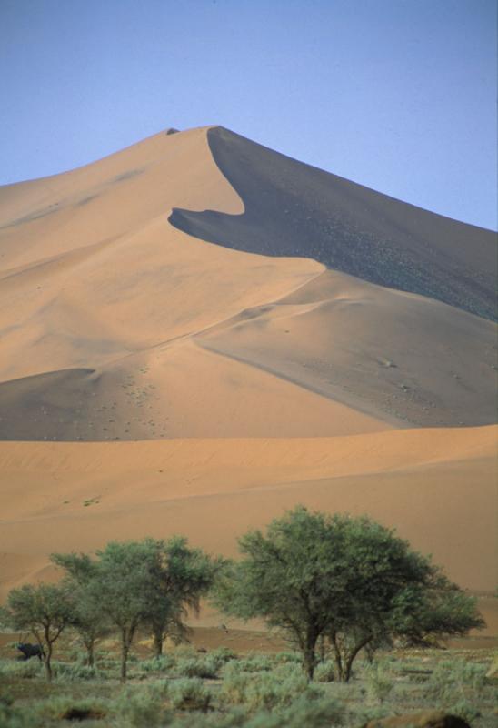 telephoto dunes