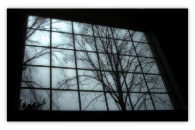 winter pics