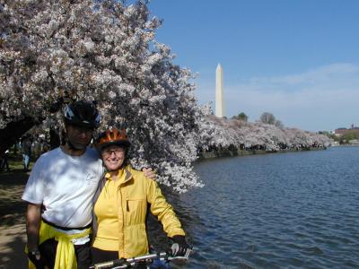 rich galina cherry blossoms and tidal basin