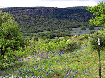 Willow City Loop 2004-02