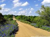 Bridge Over Bluebonnets