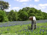 #1 Bluebonnet Lane