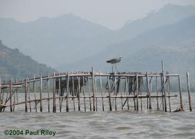 Banten Bay