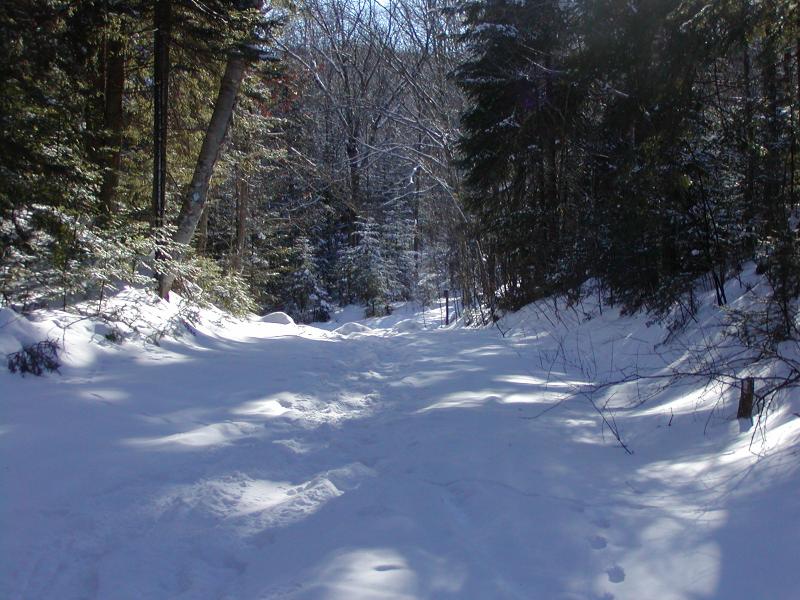 P1100027.JPG