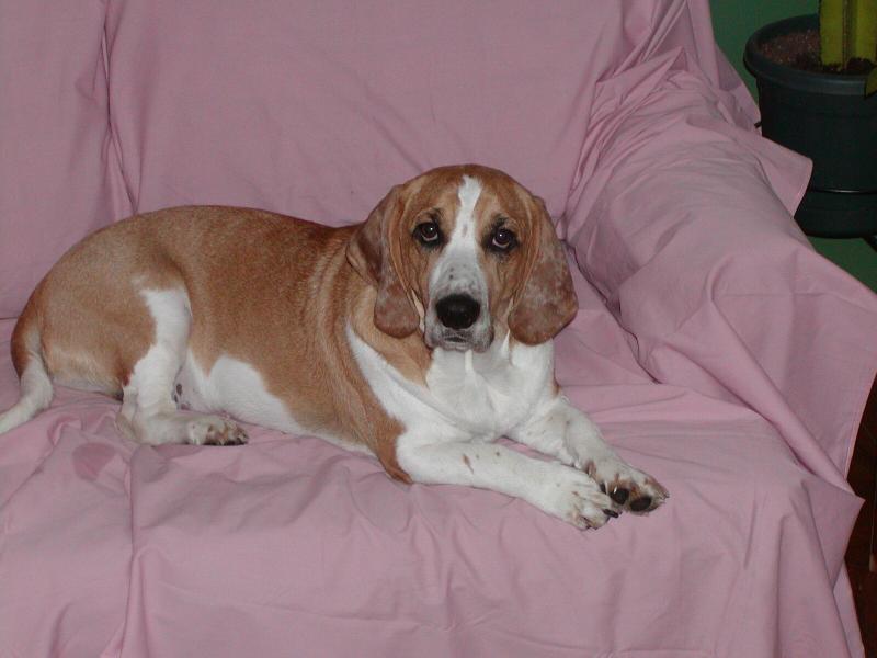 On his couch