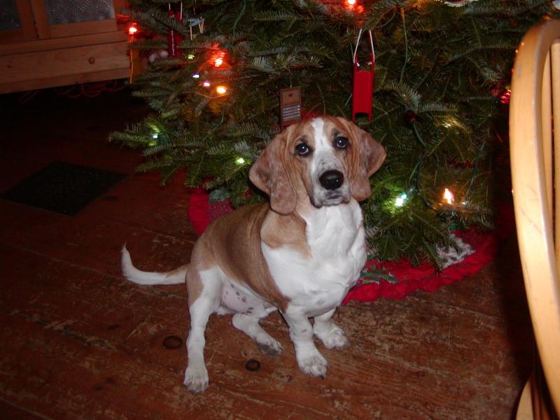 At Christmas Time