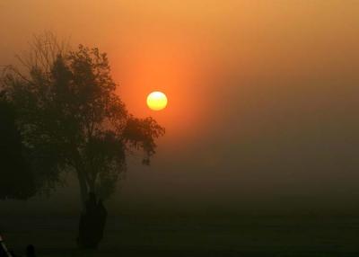 Foggy Sunrise