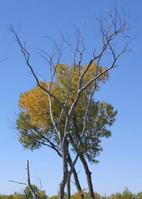 Hemphill County, Texas