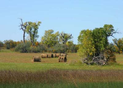 Hemphill County, Texas