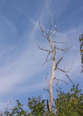 Randall County, Texas