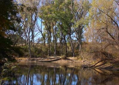 Ochiltree County, Texas