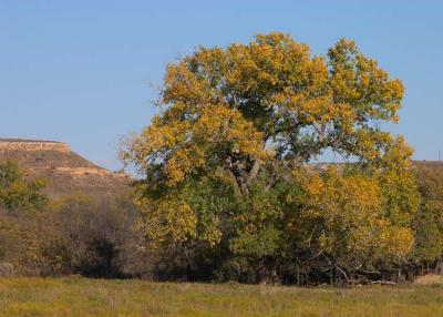Hemphill County, Texas