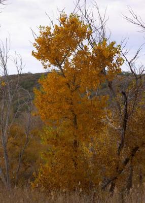 Potter County, Texas