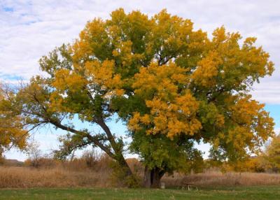 Potter County, Texas