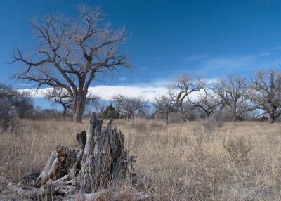 Roberts County, Texas