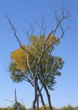 Hemphill County, Texas