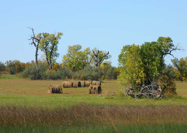 Hemphill County, Texas